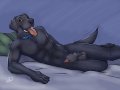 1413655760.labbedog_black_labrador.png.jpg